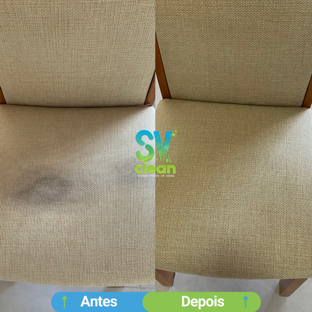 Limpeza-de-Sofa-1.png