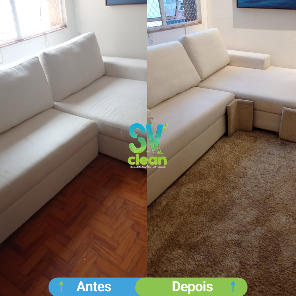 limpeza-de-sofa.png